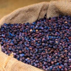 Sicilian Red Orange GIN - Gagliano Marcati -Food Series Store 1GINARANCIA1500xsito3