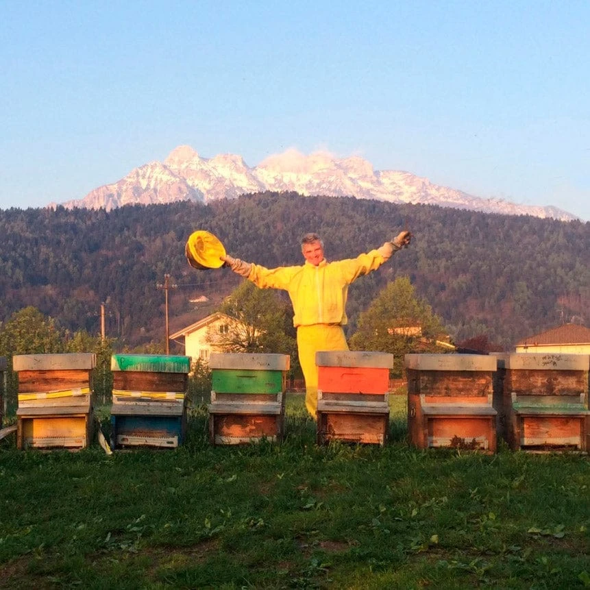 Miele Di Tiglio E Girasole Biologico - Organic Lime Tree And Sunflower Honey - Image 2