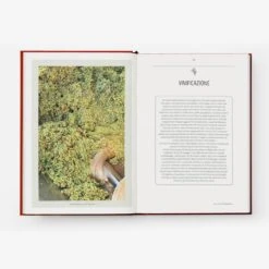 Prosecco & Spritz - Discovering This Glamorous Wine And Its Aperitifs -Food Series Store 4 Book Cover Prosecco e Spritz ITA simebooks