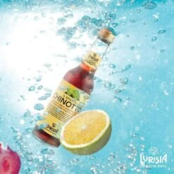 Chinotto Lurisia (4 X 9.3 Oz) -Food Series Store 71Z1SawlnSL. SL1000