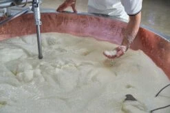 Organic Modenese White Parmigiano Reggiano 'Vacche Bianche' -Food Series Store 852eb2f9c351af3463d597e58416ebf6