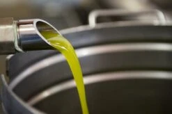 DOP Umbria MARFUGA (3 Bottles) -Food Series Store ALE 2709 1