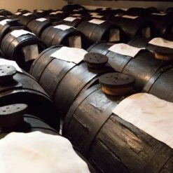 Dolceterra Balsamic Vinegar Of Modena IGP Jar By Acetaia Malpighi -Food Series Store Acetaia Malpighi fced1570 d9cd 4a6a 9c4c 14f8cb42a253