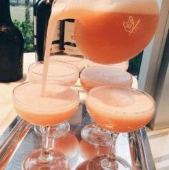 Bellini Cipriani - Alcohol-free (4 X 6 Oz) 8 Bellini Cipriani - Alcohol-free (4 X 6 Oz) -Food Series Store DarfRdGXcAAWVeC