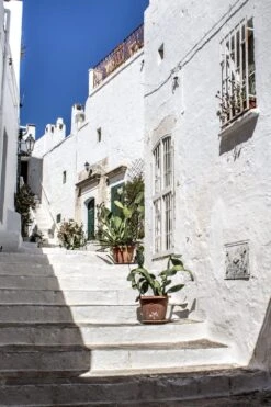 Puccia Salentina Bread - (2 Packs) -Food Series Store IMG 0398