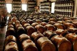 Acetaia Giuseppe Giusti - 3 Gold Medals - Balsamic Vinegar Of Modena -Food Series Store Modena celebra la piu antica acetaia del mondo 69e467b9 c08b 4e10 b532 b85e2a289780