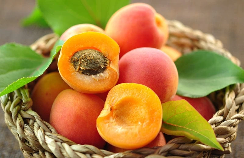 Cantucci Organic Apricot - Dolceterra Tuscan Biscuits 4 Cantucci Organic Apricot - Dolceterra Tuscan Biscuits - Image 2