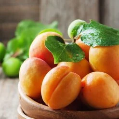 Apricot And Spices Veneziana In Thin Box -Food Series Store apricot d23d321c 4dd5 4a2d aa83 819833122abc