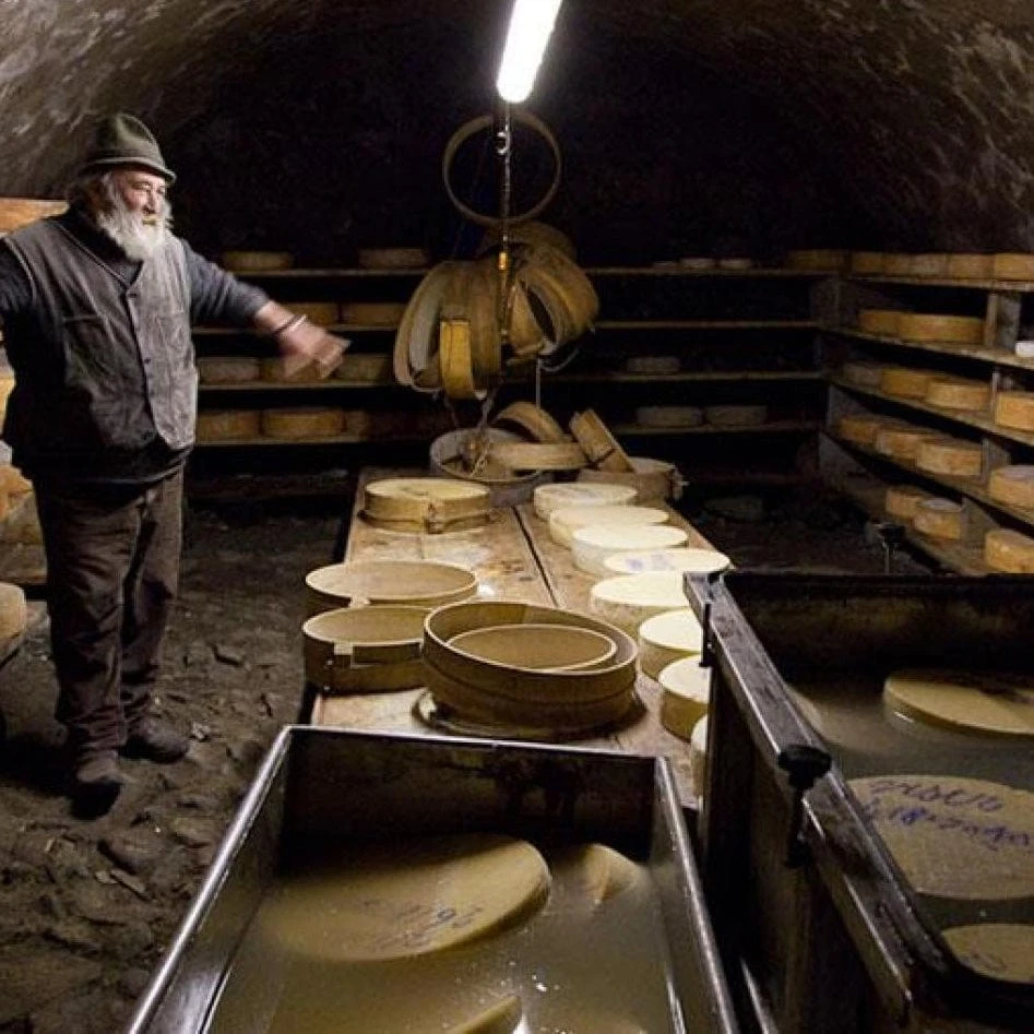 Bagòss Cheese 4 Bagòss Cheese - Image 2