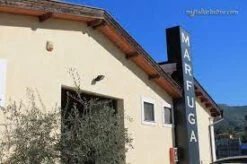 'EXPERIENCE UMBRIA' MARFUGA Extra Virgin Olive Oil -Food Series Store download 9