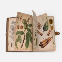 Padre Peppe - Elixir Amaro 42% Vol 70 Cl Bitter Liqueur -Food Series Store erbolarionoce 1