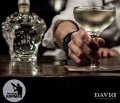 Gin David -Food Series Store gindavid