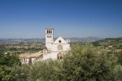 DOP Umbria MARFUGA RISERVA Colli Assisi – Spoleto -Food Series Store shutterstock 60966076