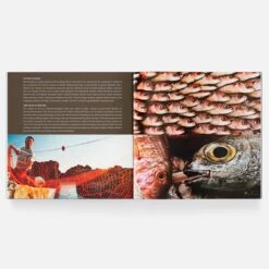 Sicilia, L'Isola - The Island -Food Series Store sicilia3