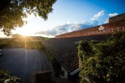 Cantico Extra Virgin Olive Oil 'The Expression Of Umbria' Organic Biologico -Food Series Store unnamed 10 85e05aec e14b 4e53 a92d 8690a71bcc16