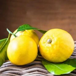 'Bergamotto Fantastico' Award-winning Calabrian Aperitivo -Food Series Store unnamed 12